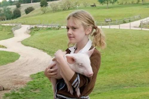 夏洛的网电影在线观看,重温经典动画,感受友谊的力量 第2张 夏洛的网电影在线观看,重温经典动画,感受友谊的力量 第2张